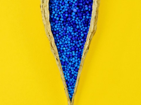 Different vaginal odors