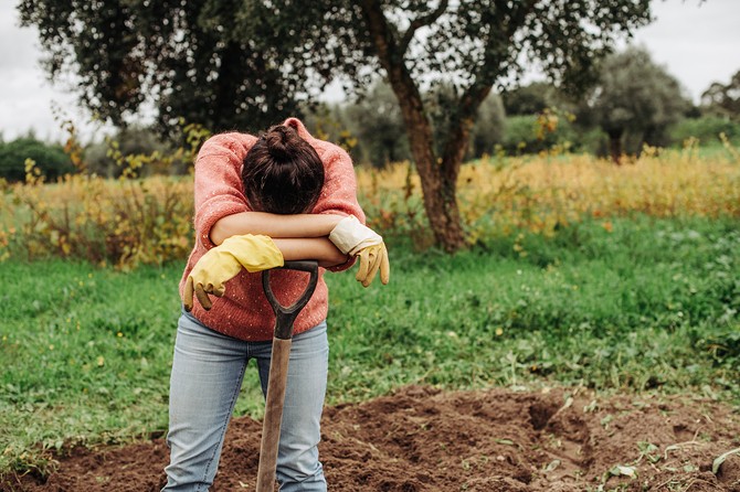 Više od 90 odsto žena na selu nema ni metar zemljišta u svom vlasništvu foto: shutterstock