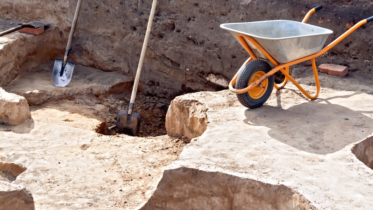 Na terenie Borów Dolnośląskich archeolodzy znaleźli pozostałości zamku, należącego do piastowskiego księcia Bolka II Małego (zm. w 1368 r.) - ostatniego niezależnego księcia piastowskiego władającego na Śląsku.