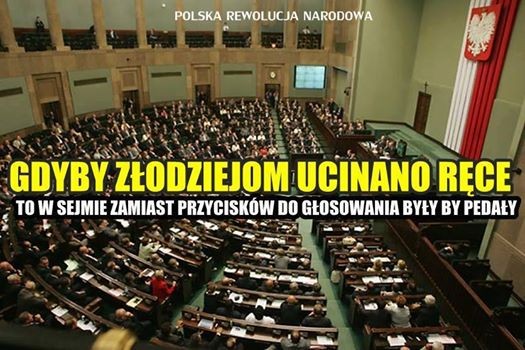 mem / źródło: Facebook/PolskaRewolucjaNarodowa