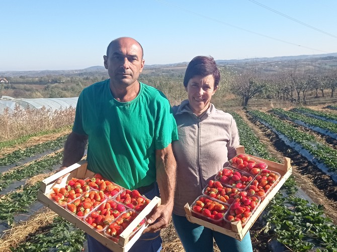 Glišići, Gordana i Milovan iz sela Šume kraj Topole
