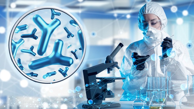 legjobb bélflóra helyreállító