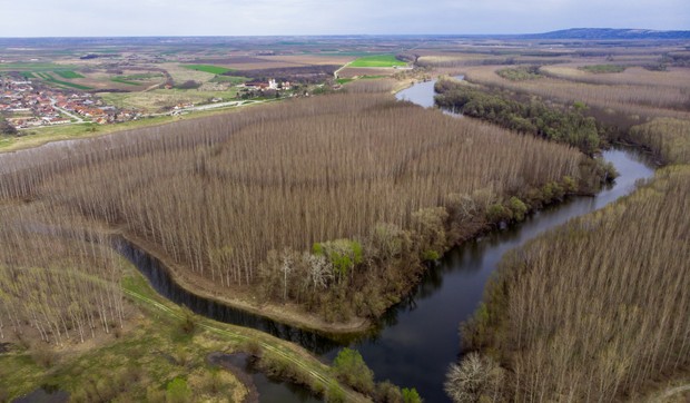 Novi Sad koviljski rit prolece