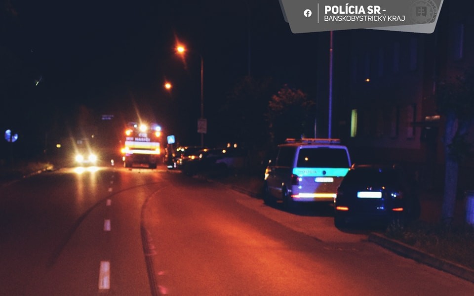 Pri nehode vozidlo po šmyku narazilo do stromu i pouličného osvetlenia.