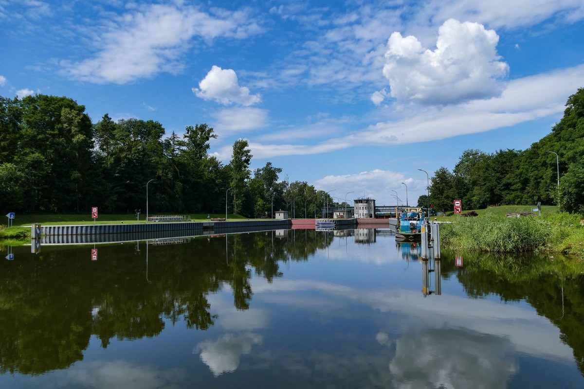 Na Kanale Gliwickim znowu zakwitła złota alga. Trwa walka z czasem i zagrożeniem
