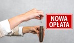 Nowa opłata w wysokości 5 zł dziennie dla każdego Polaka. Gminy dostaną zielone światło na pobieranie nowego podatku?