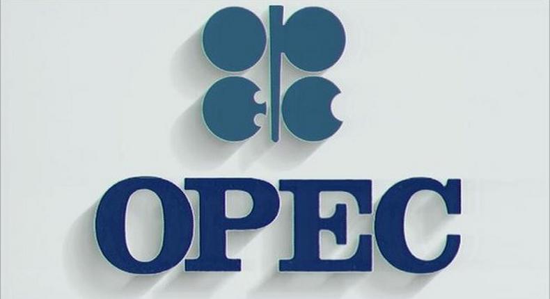 OPEC urges country to sustain ongoing energy reforms