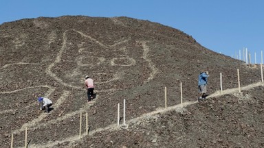 Niezwykłe odkrycie w Nazca. Olbrzymi wizerunek kota znaleziony na pustyni w Peru