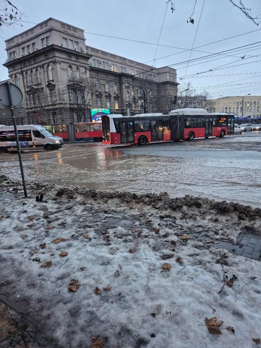 Izlila se kanalizacija u Golsvordijevoj