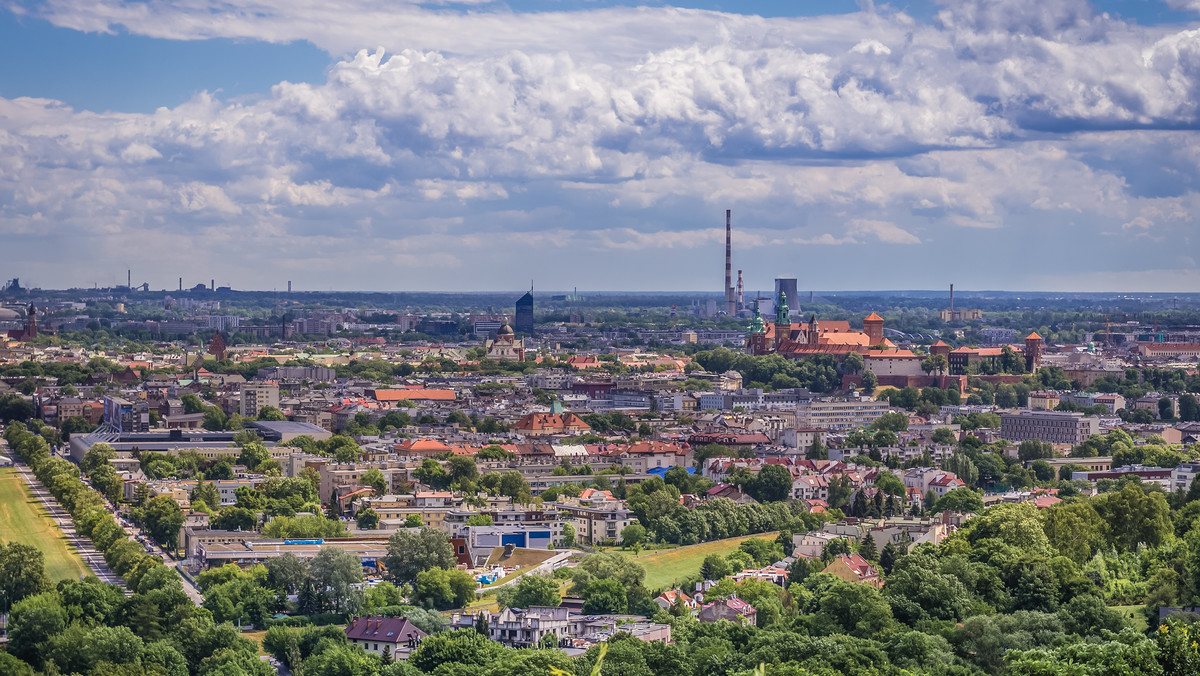 Kraków kupił cztery hektary lasu w nowohuckim Pleszowie