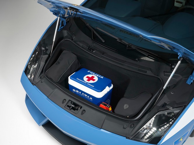 ... pojemnik niezbędny do transportu organów