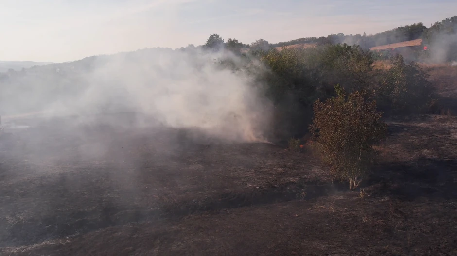 Zapalilo se nisko rastinje u Ljubiću