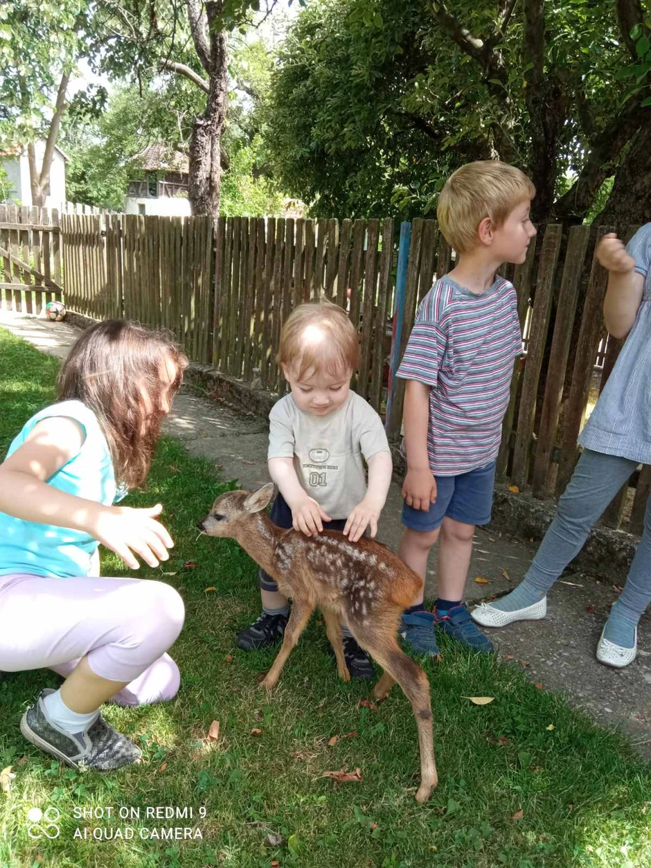 Celo leto bila je u kući gde su je hranili na flašicu sa cuclom. Najviše su se radovali Milica, Matija, Marko i Miloš kojima je Lana postala pravi ljubimac
