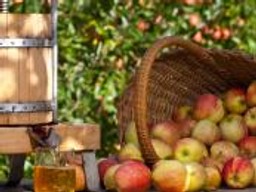 Afera mięsna nie zaszkodziła Polsce: nasza żywność wciąż eksportowym hitem