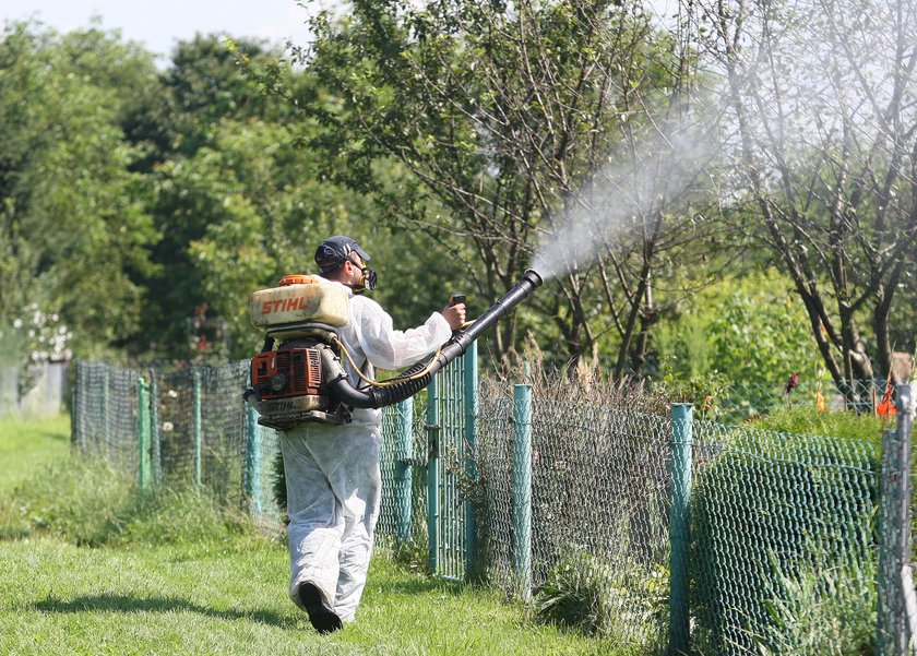 Ratusz nie zamierza odkomarzać parków