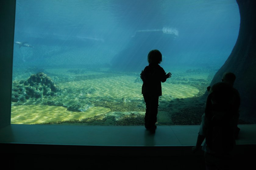 Afrykarium we wrocławskim ZOO