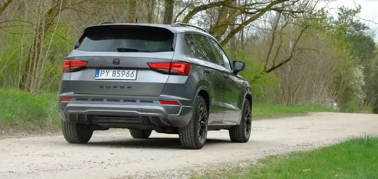 SUV średniej wielkości, ale na bogato. Sprawdziłem, czy 190-konna Cupra Ateca jest tak drapieżna, jak mówią