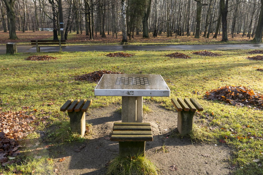 Dąbrowa Górnicza. Park Zielona będzie przebudowany