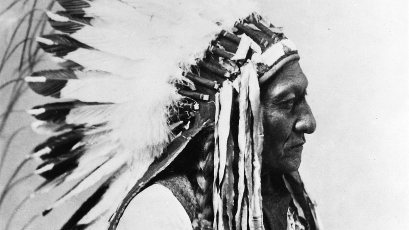 Dzięki badaniom DNA odnaleziono żyjącego prawnuka legendarnego wodza Indian Siedzącego Byka