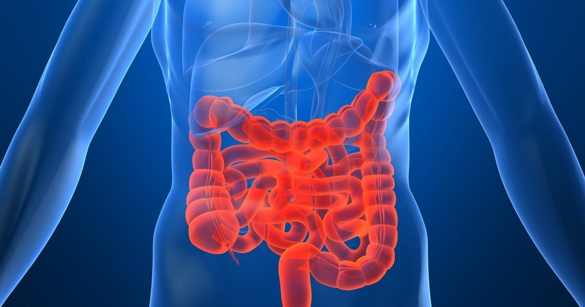 Jelita pod lupą. Gastrolog wyjaśnia, jak zapobiec rakowi. To jest kluczowe