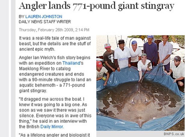 Gigantyczna płaszczka złapana w Tajlandii