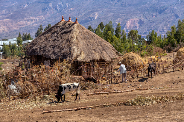 Etiopska wioska w regionie Oromia