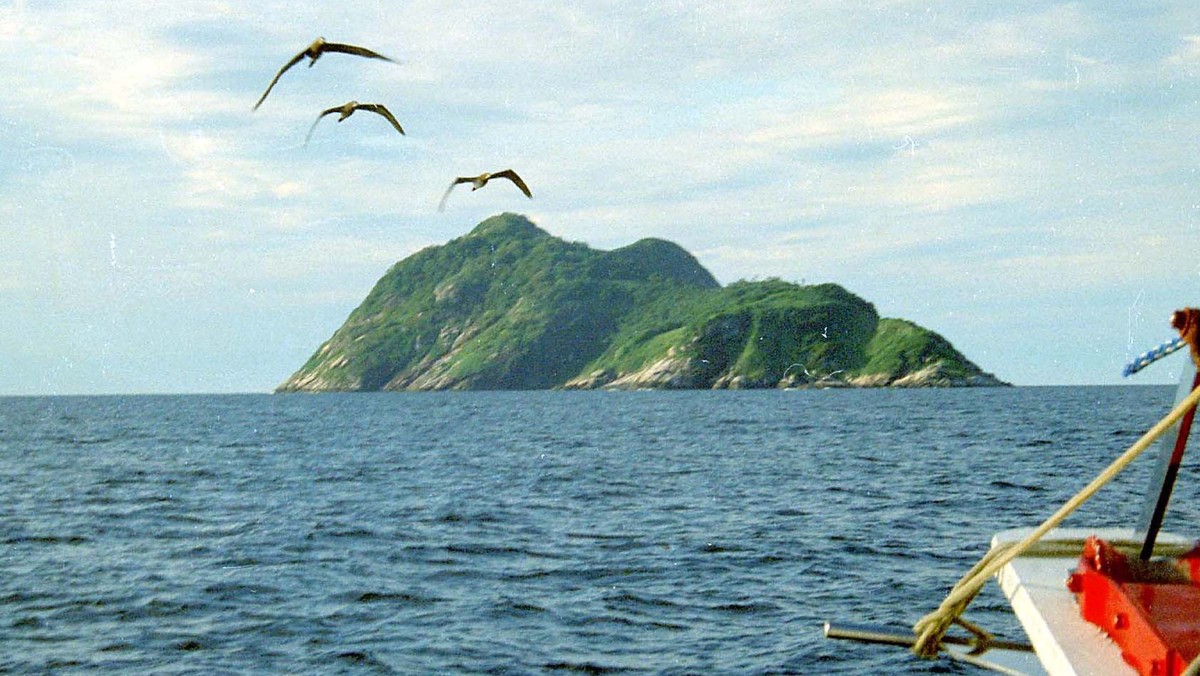 Ilha da Queimada Grande to niewielka (niecałe 0,5 km2) wysepka u wybrzeży Brazylii, na południe od Sao Paulo. Ilha da Queimada Grande nosi również przerażający przydomek Wyspy Węży ze względu na olbrzymią ilość śmiertelnie jadowitych żararak wyspowych (Bothrops insularis).