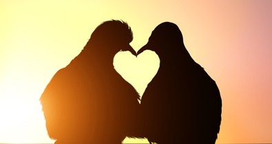 5 tipp, hogy újra fellángoljon a szerelem köztetek