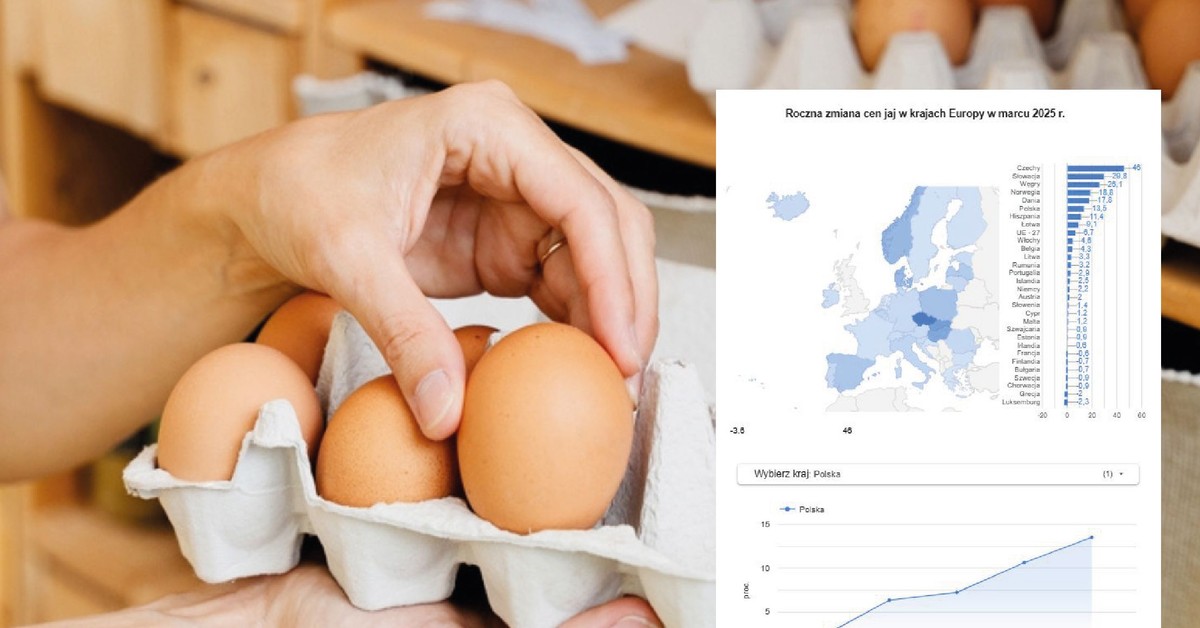 Ceny jaj w Europie. W tych krajach ludzie łapią się za portfele