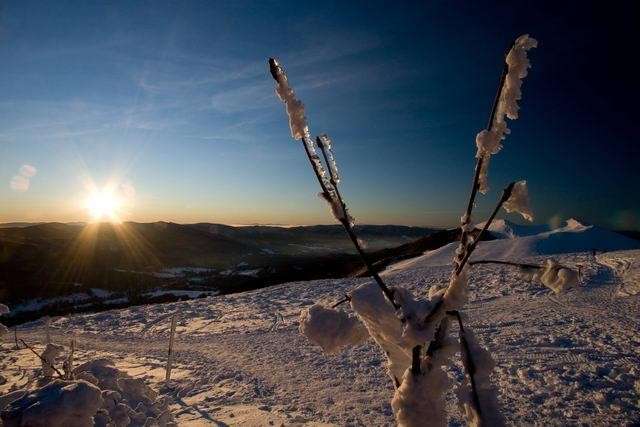 Galeria Polska - Bieszczady w zimowej szacie, obrazek 42