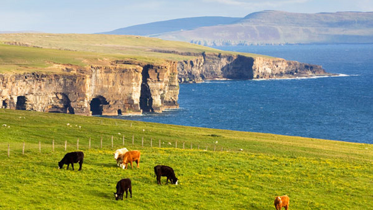 2 minuty. Tyle trwa najkrótsze rozkładowe połączenie lotnicze na świecie z Westray do Papa Westray na Orkadach w Szkocji. Operuje na nim linia Loganair.