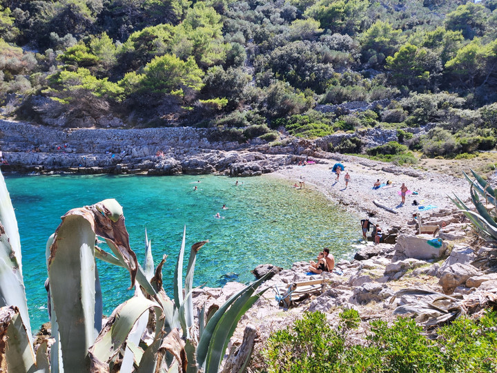 Wyspa Lošinj / fot. kowalskichal, Shutterstock