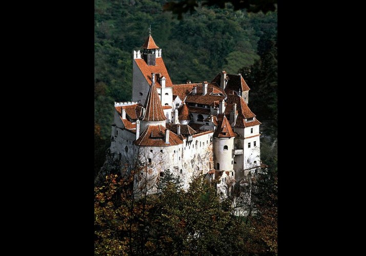 Co może zaskakiwać, nieruchomość o znacznie barwniejszej historii można kupić za znacznie mniejszą kwotę. Zamek w Branie, bo o niego chodzi, zgodnie z plotką krążącą po rynku nieruchomości od dłuższego czasu szuka nowego właściciela. Co prawda nie ma nigdzie oficjalnej oferty, ale mnogość publikacji na ten temat wydaje się potwierdzać, że spadkobiercy są gotowi pozbyć się tego zabytku, a interesuje ich kwota 80 mln USD (równowartość 305 mln zł). Propozycja jest o tyle ciekawa, że jest to jeden z najbardziej znanych zamków na świecie. Wszystko za sprawą wampira, którego znają chyba wszyscy – Hrabiego Drakuli. Ten, gdyby wierzyć prozie Brana Stokera, traktował bowiem zamek w Branie jako swoją rezydencję. Trudno się temu wyborowi dziwić, ze względu na dogodną lokalizację. Doceniono ją już w 1212 rok (początki warowni), a zamek powstał na 60 metrowej skale, z której można było kontrolować trakt między Transylwanią i Wołoszczyzną.  Zdjęcie: Zamek w Branie, źródło: Bran Castle