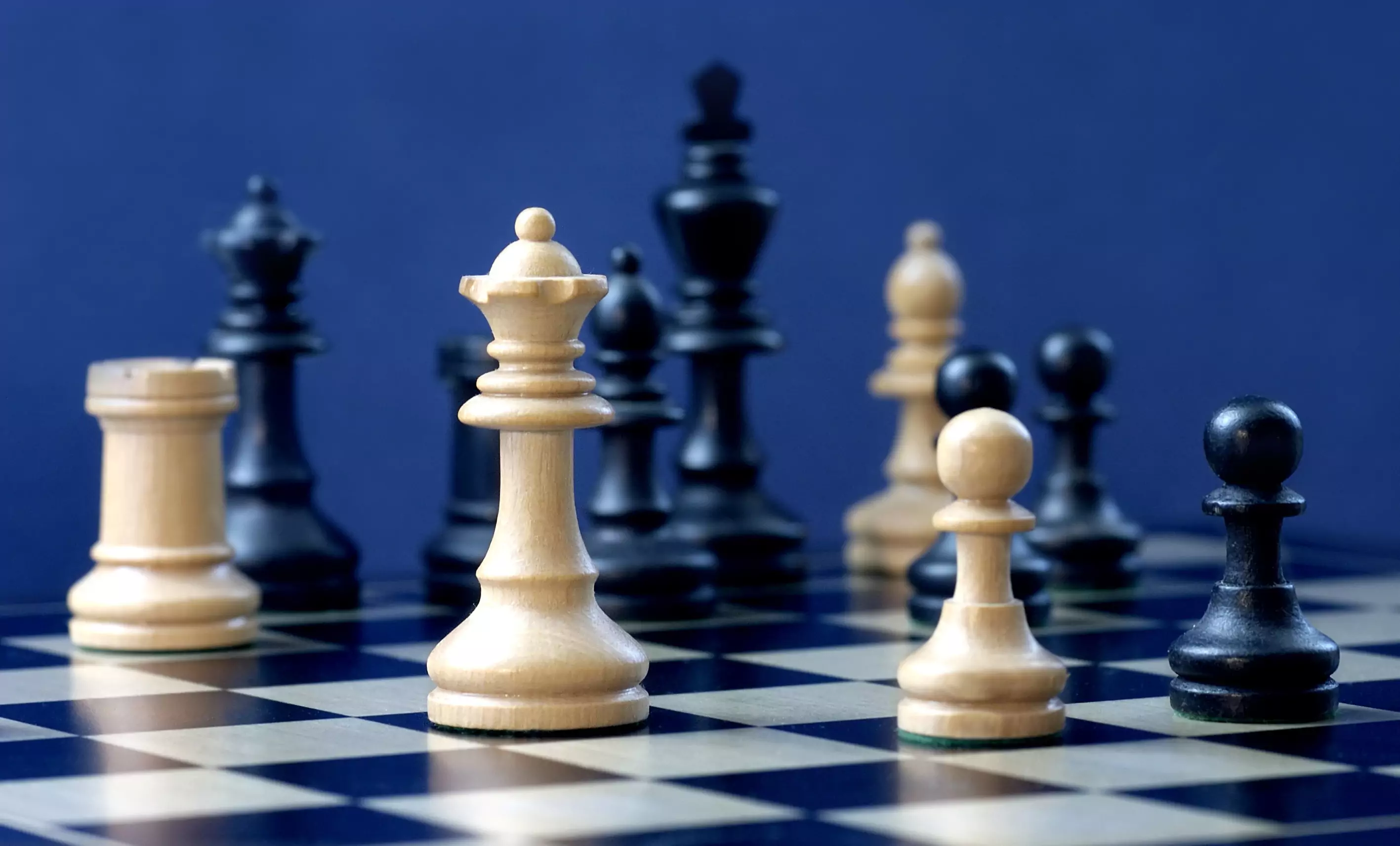 Der große Schach-Ratgeber So findest du das beste Schachbrett