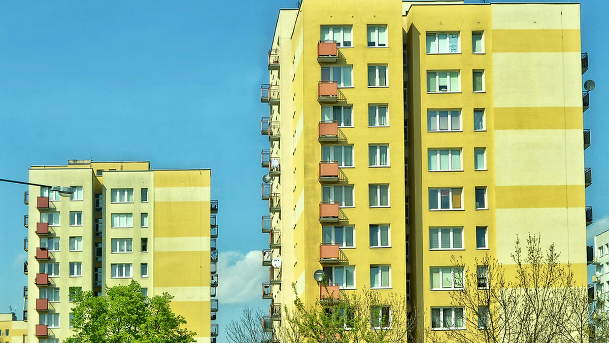 Studenci szukają stancji. Jak wygląd casting na lokatora?