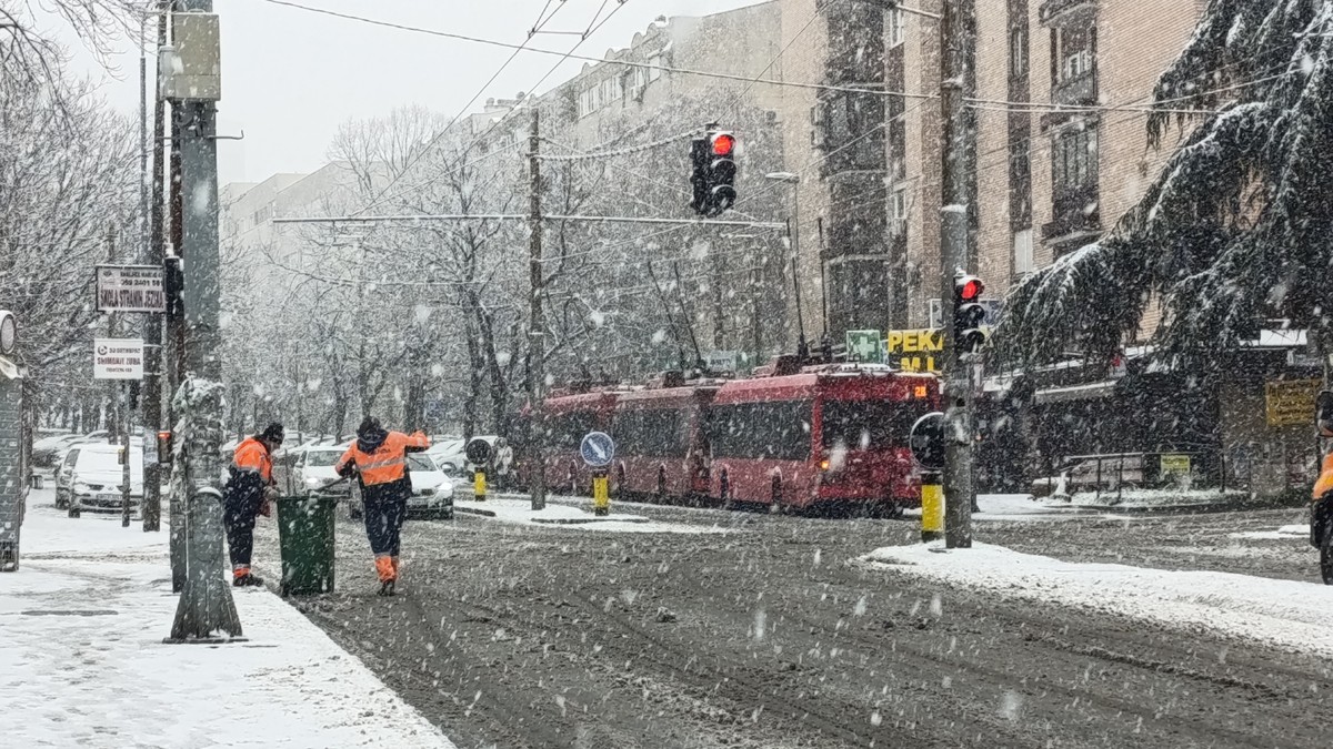 Sneg u Beogradu, Zvezdara