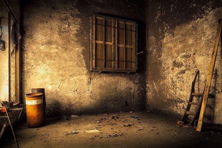 WIMA/Paweł Augustyniak Fotografia