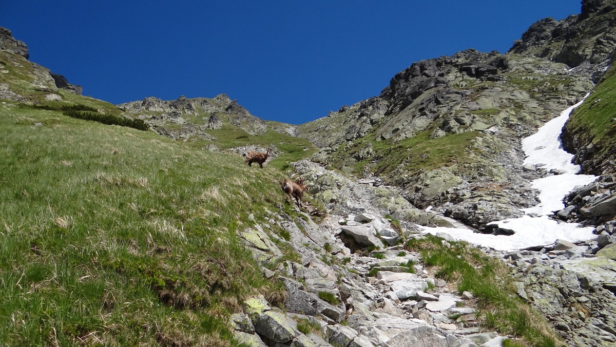 Tatry: wielogodzinna, nocna akcja pod Krzyżnem