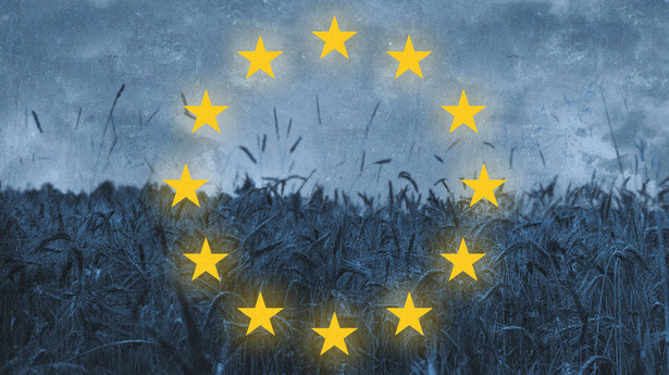 Rolnictwo - Unia Europejska - UE
