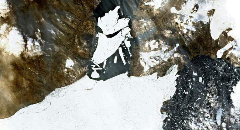 The massive chunk broke off the Nioghalvfjerdsfjorden glacier in Northeast Greenland