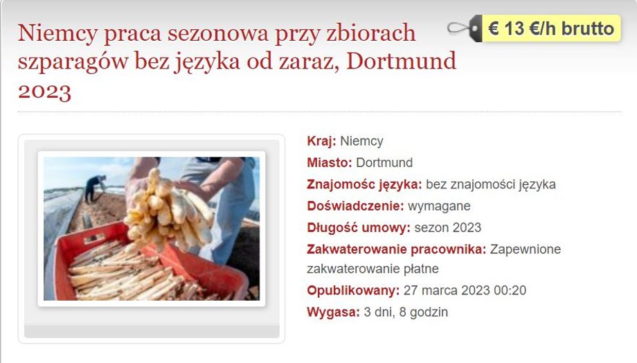 Un anunț pe site-ul de locuri de muncă din Polonia
