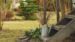 prace ogrodowe w marcu [kalendarz ogrodnika]