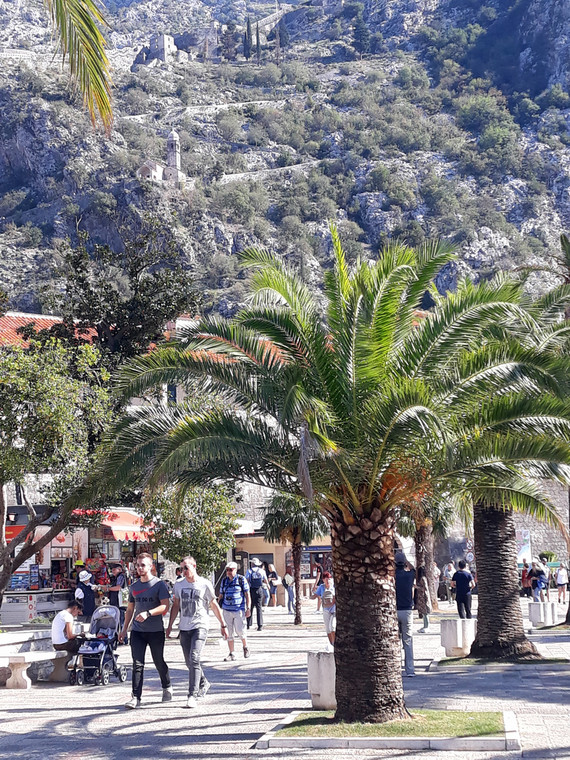 Kotor –  czuć tu atmosferę Monte Carlo, ale i starożytne wpływy greckie, rzymskie i tureckie