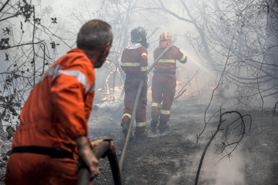 Strażacy walczą z pożarami w rejonie Rzymu i Neapolu ...