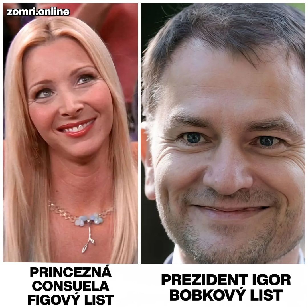 Igor Matovič a meme o jeho prezidentskej kandidatúre.