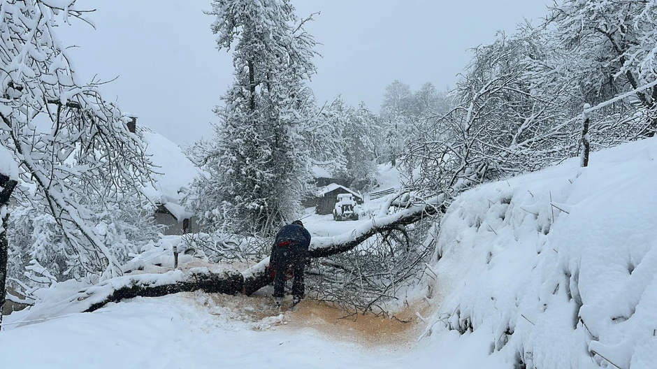 Struja se vraća u sela/Bajina Bašta
