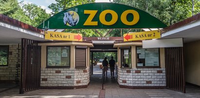 Ewa Zgrabczyńska nową dyrektor poznańskiego zoo