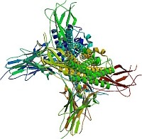 filgrastim-d00001F73fbf77f72f747