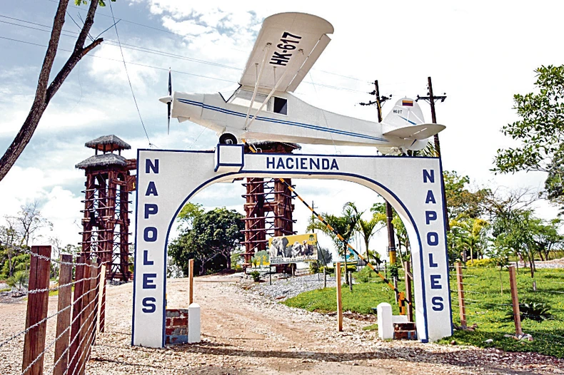 Bolesni glamur i nezapamćena megalomanija: Pablo je na svom imanju pored Medeljina držao egzotične životinje