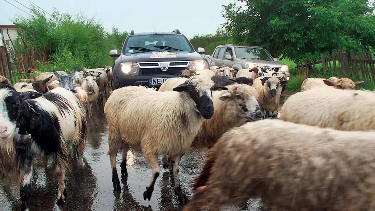 Dacia Duster 1.5 DCI: teren jej nie straszny